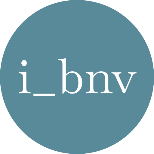 logo immobiliare_bnv